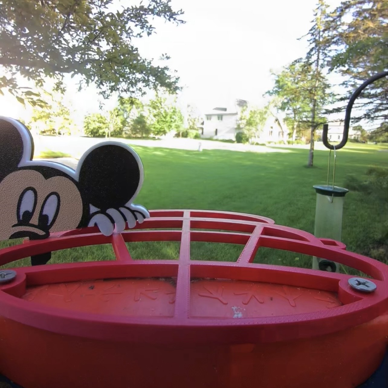 Mickey Mouse Peeking Bird Buddy Extender