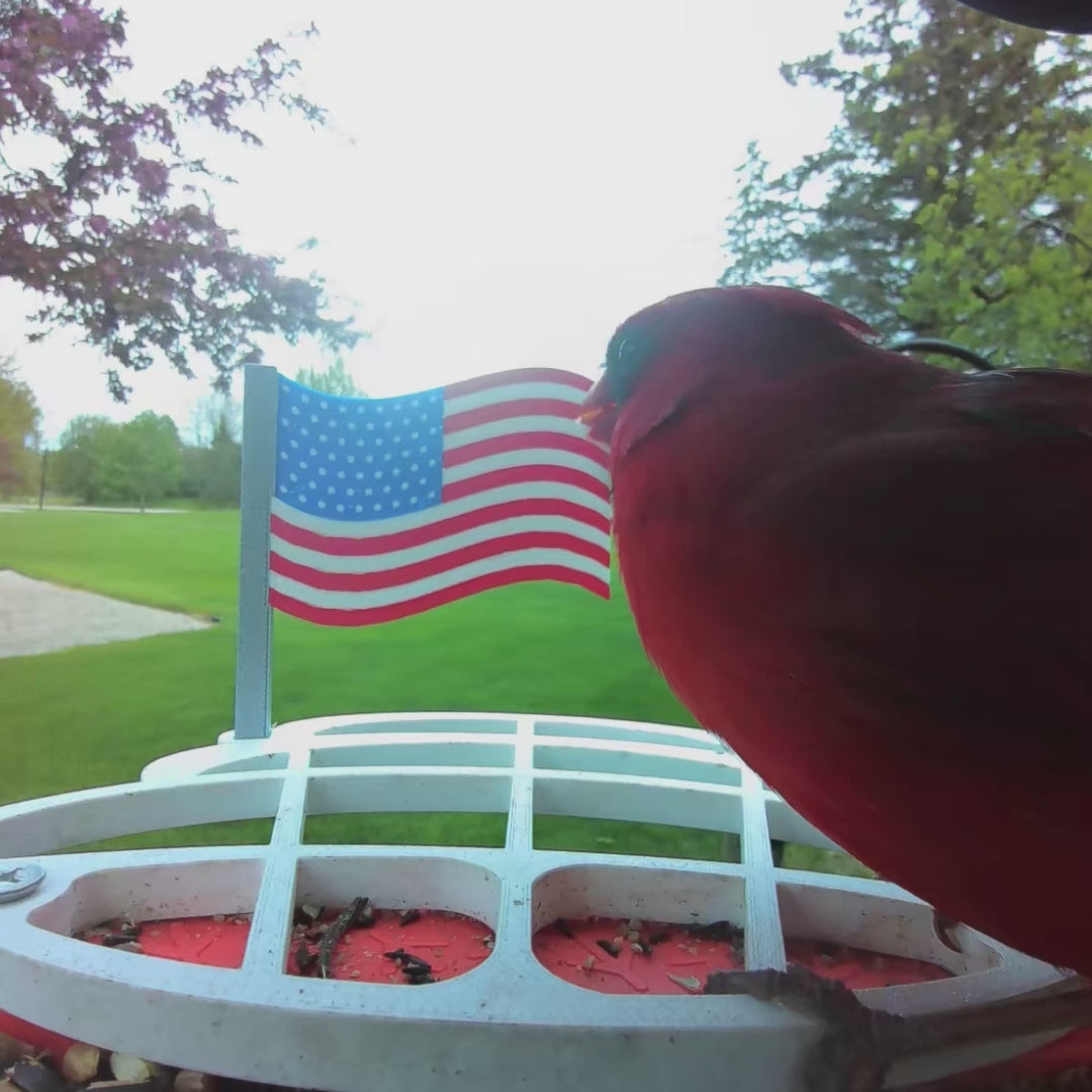 American Flag Bird Buddy Extender