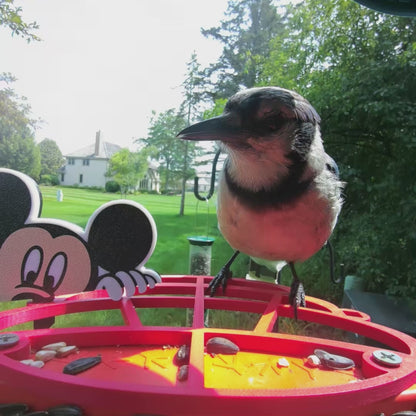 Mickey Mouse Peeking Bird Buddy Extender